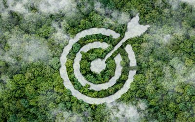 Transformationsplan, Transformationskonzept, CO2-Einsparung